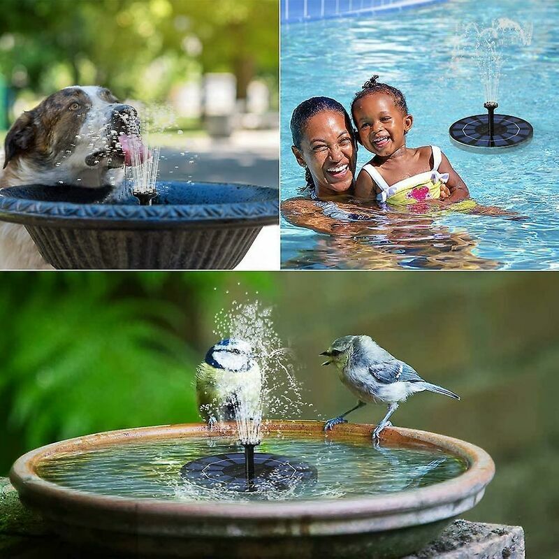 Fontaine solaire bain d'oiseau Enfants aux Puits