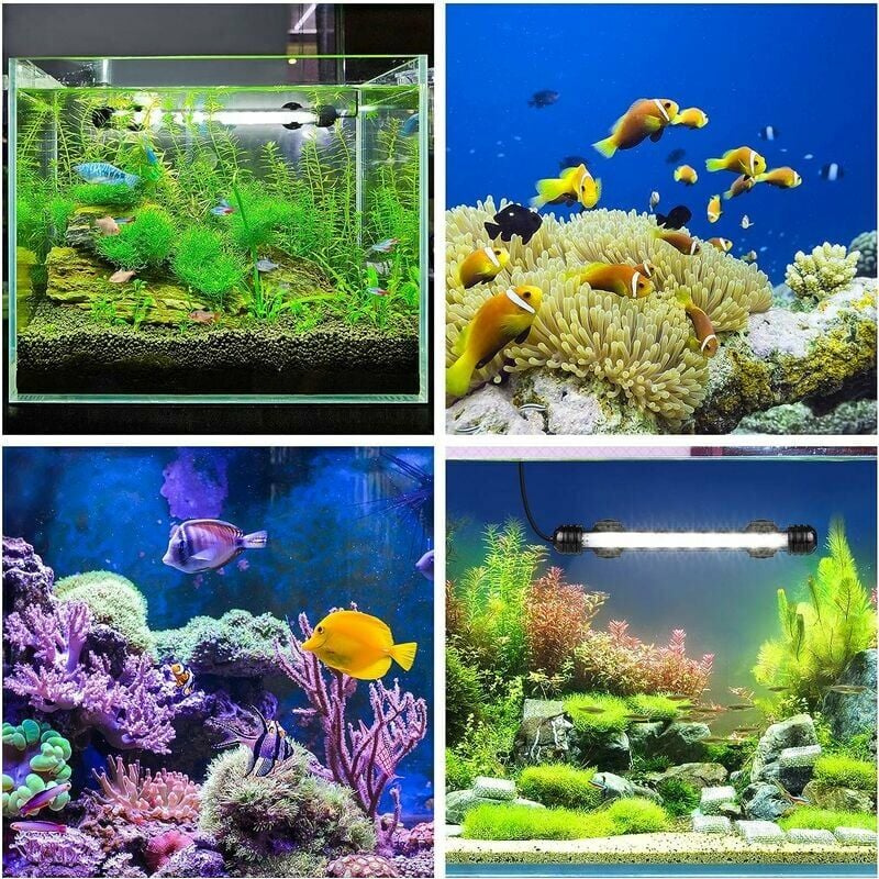 36W Aquarium LED avec minuterie éclairage coquillages, 70-90cm