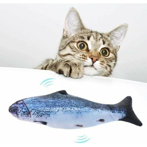 Poisson Cataire pour Chat - Chiens & Chats Boutique