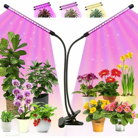 Lampe de Plante, EWEIMA 80 LEDs Lampe de Croissance à 360° Éclairage  Horticole Avec, Lampe