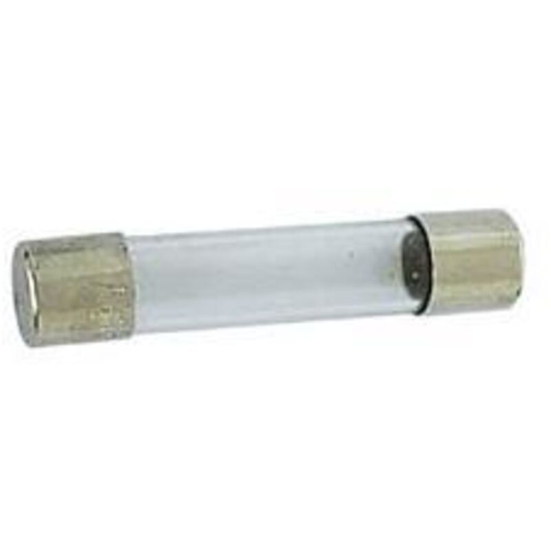 10 Fusibles De Vidrio Temporizado (T) 8A/250VAC | 6,3 X 32 Mm | Para Equipos Electrónicos Y Electrodomésticos