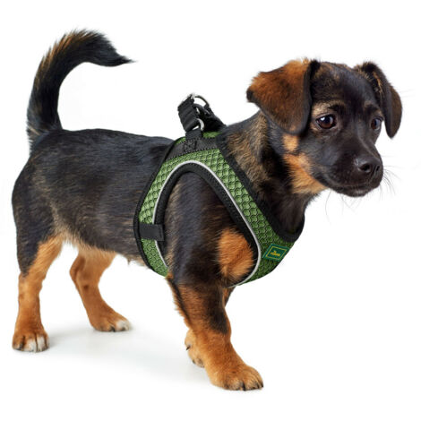 Dog Harness Hunter Hilo-Comfort M Blue (55-60 cm) main image 1