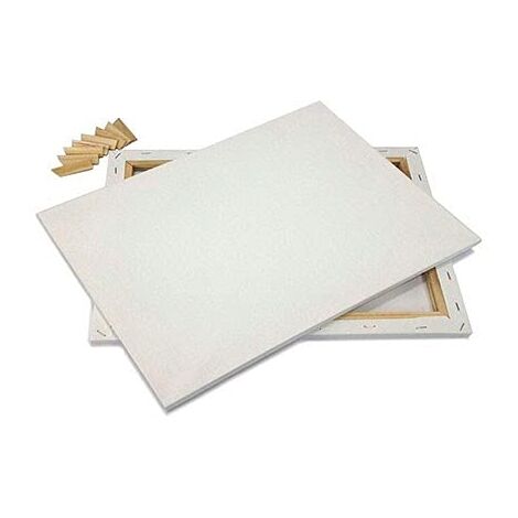 Liderpapel Tela Di Cotone Per Pittura 73x54 Cm, Telaio In Legno Paulownia, Confezione Da 20 Pezzi