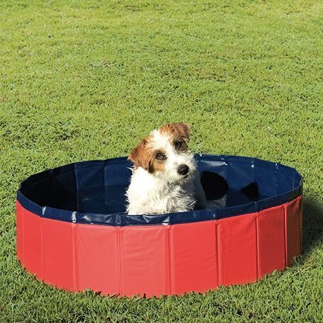 Piscina para perros Ibáñez PISCINA - MEDIDA L (1/5)