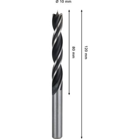 Bosch 1x PRO Wood slangenboor (voor Zachthout, Hardhout, 18,00 mm, Professional Accessoires Boor-/schroefmachines