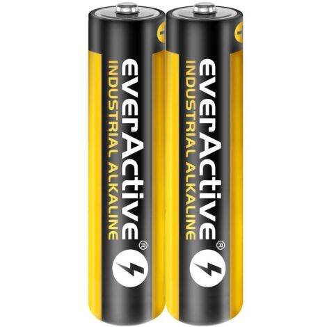 Pilas alcalinas industriales everActive AAA/LR03, 40 unidades (1/2)