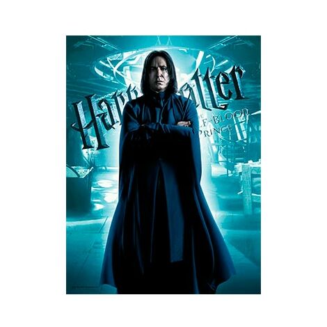 HARRY POTTER - Impression en Verre - Harry / Voldemort - 30X40 Cm