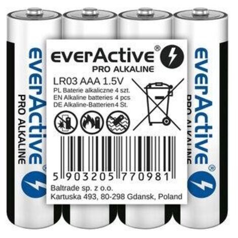 Everactive (1/3)