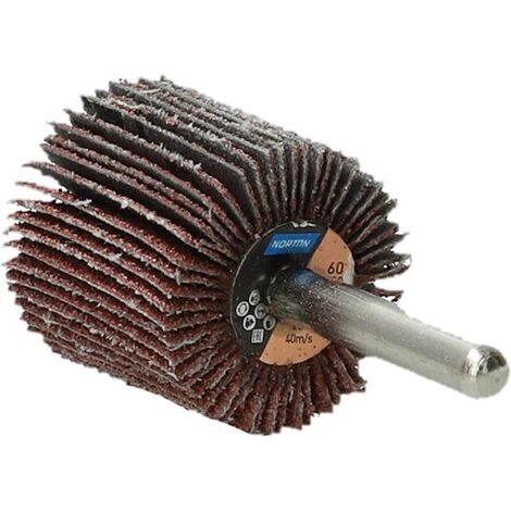 Fächerschleifer m.Schaft R207Plus 30x30x6 P60 (1/3)