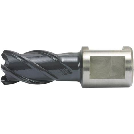 Kernbohrer HSS-Co RQX-beschichtet Schnitttiefe 50 mm ALFRA 13 mm (1/5)