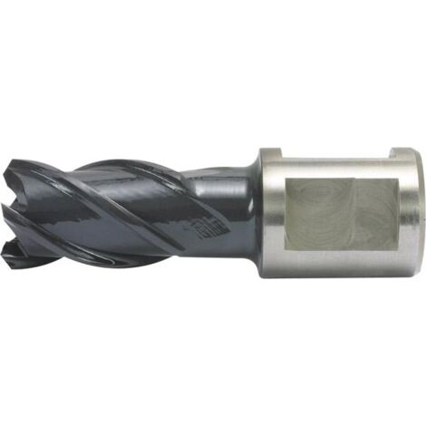 Kernbohrer HSS-Co RQX-beschichtet Schnitttiefe 30 mm ALFRA 26 mm (1/5)