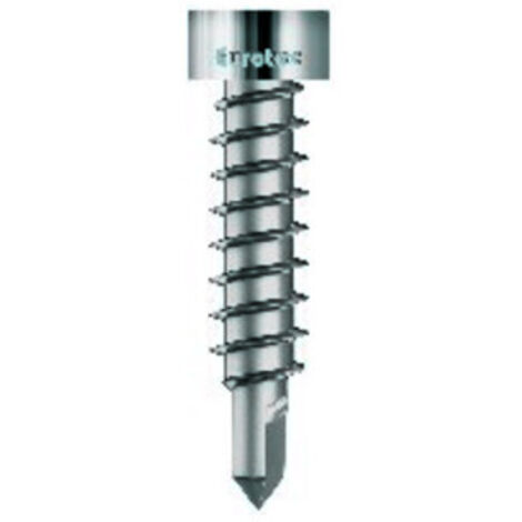 Thermofixschr. m. Bohrsp. Edelstahl geh. 4,2x22mm (1/3)