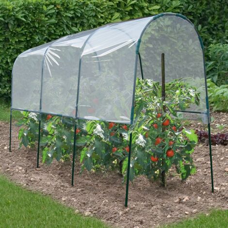 4 M invernadero de tomates
