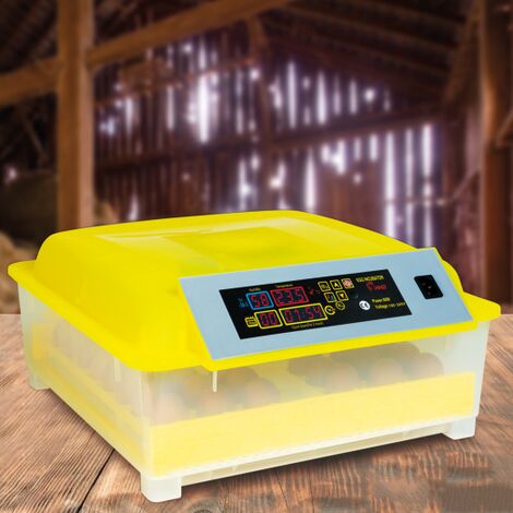 Incubadora automática de 48 huevos incubadora autónoma inteligente