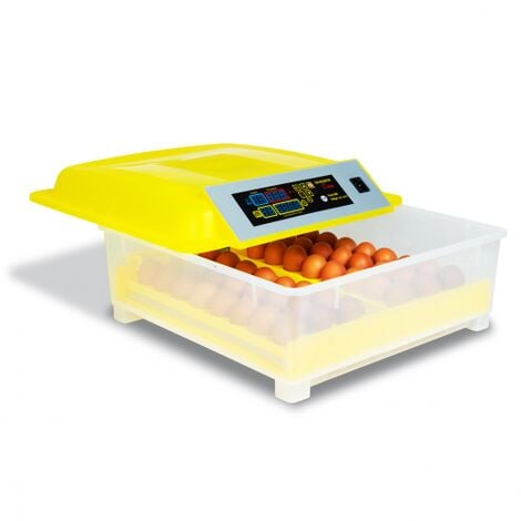 Incubadora automática de 48 huevos incubadora autónoma inteligente