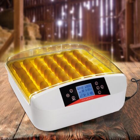 PRO incubadora automática 56 huevos iluminados incubadora autónoma con visor de huevos LED
