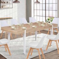 AUSTRIA mesa de comedor extensible 6-10 personas madera blanco pata de alfiler 160-200 cm
