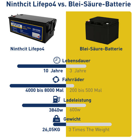 LiFePO4 300Ah Wiederaufladbare 300Ah Lithium Batterie, 8000 Zyklen Max.  3840Wh Ausgang LiFePO4 Batterie für Wohnmobile, Camping