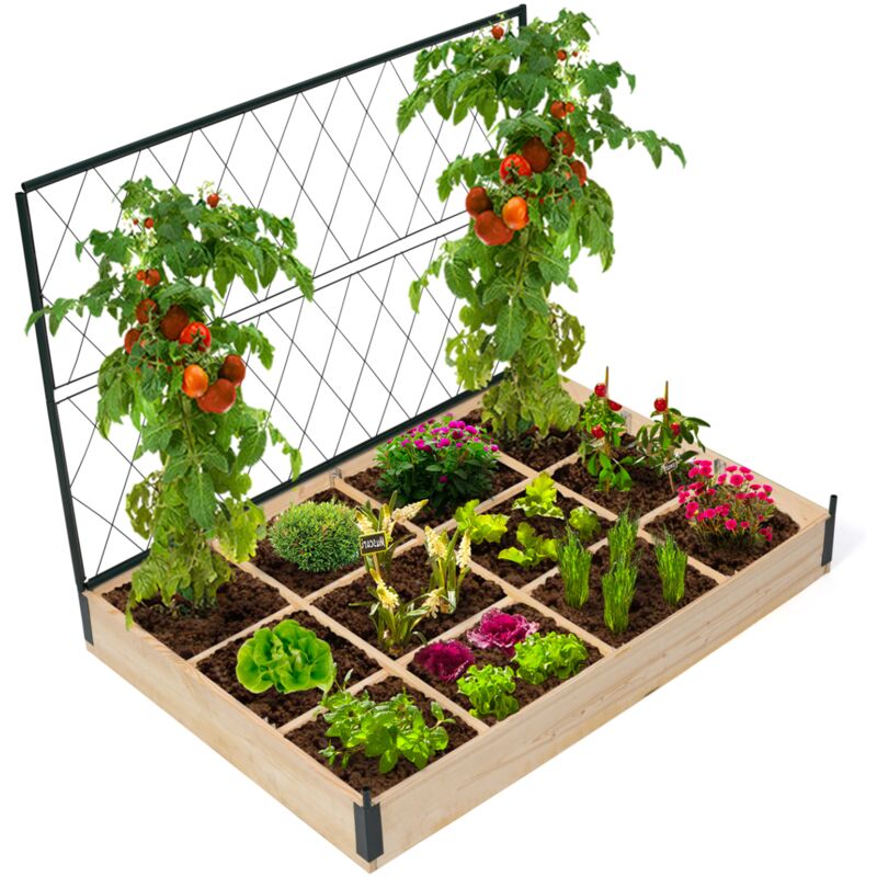Rete Protettiva Per Piante Da Giardino - Serra Per Uccelli E Gelo Per Aiuole Rialzate - Protegge Fiori, Fragole, Pomodori - 4