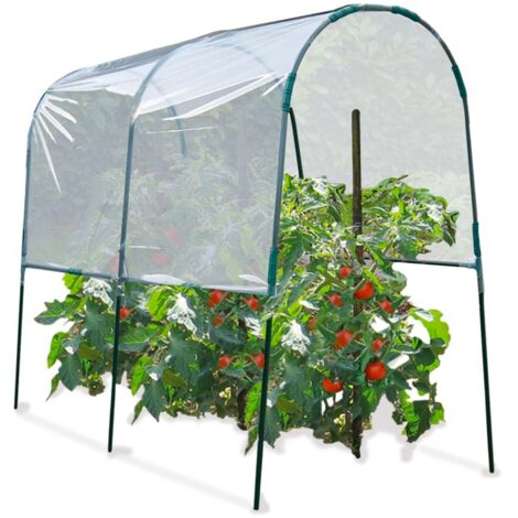 Serra di pomodori 2 M