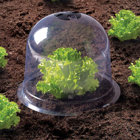 Garantia Sunny 645061 Campana Per Piante – ø 35 X 30 Cm – Protezione Trasparente Con Ancoraggi E Fori Per Irrigazione – Per Orto E Giardino