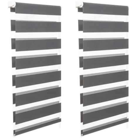 Set di 2 tende a rullo, giorno e notte, 55x170 cm, grigio
