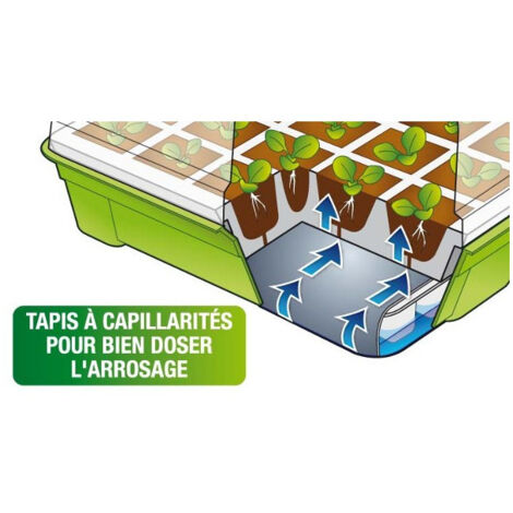 Vassoio Per Semine 10 Pezzi Con Cupola E Base – 120 Celle (3,8 Cm) – Kit Germinazione Con Attrezzi