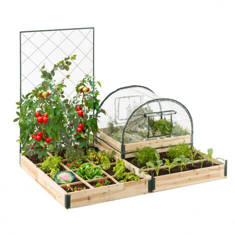Kit completo di 3 contenitori modulari + traliccio + copertura