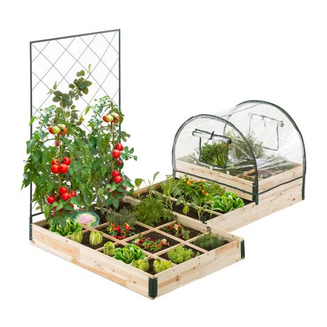 Kit completo di 3 contenitori modulari + traliccio + copertura