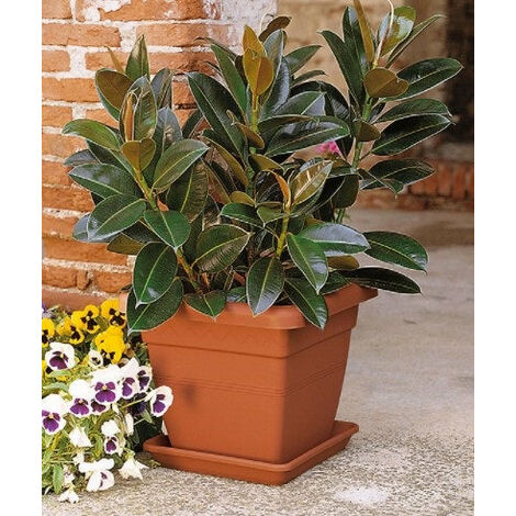 Sottovaso Rotondo In Plastica Riciclata – Made In Germany – Per Vasi Da 16 A 30 Cm, Resistente E Decorativo (Blu) - 4