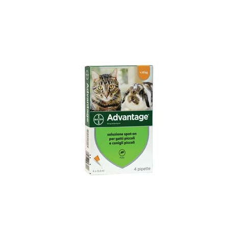 Antiparassitario Advantage Per Gatti E Conigli Fino A Kg.4 - in conf. da 4 pipette SPOT-ON