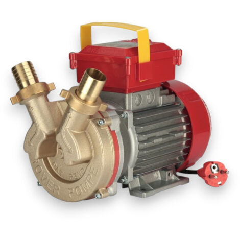 Elettropompa In Bronzo Bisenso Da Travaso Rover 40 Ce 85 Lt./Min (1/5)