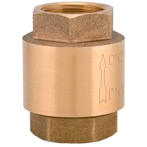 Valvola Di Ritegno A Molla Con Inserto In Pvc 1"1/4 (1/3)