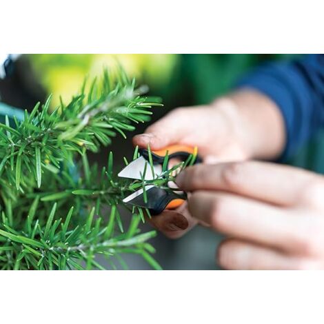 forbici per erbe aromatiche 'solid sp220' fiskars 13 cm