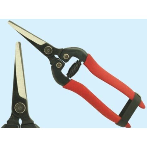 Forbici ortofrutta cogliuva lama retta in acciaio 18cm Brixo
