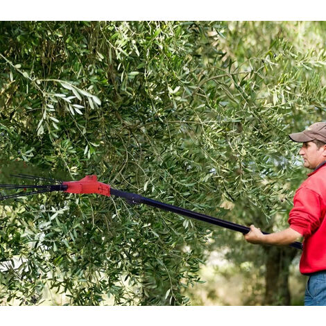 Crisalide Oliviero Synthesis – Scuotitore Olive A Batteria 12V Con Asta Fissa 2,5m In Carbonio E Alluminio – Raccolta Olive Facile E Veloce