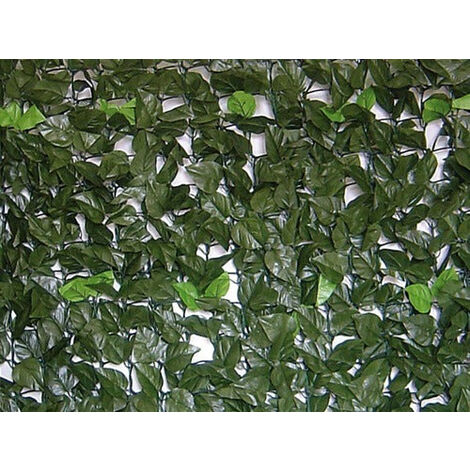SIEPE EVERGREEN BRIXO LAURO 1,5X3MT