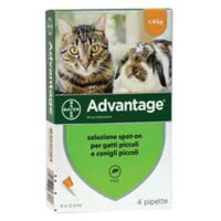 Antiparassitario "Advantage" Per Gatti E Conigli Fino A Kg.4 - in conf. da 4 pipette SPOT-ON