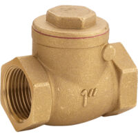 Valvola A Clapet F/F Ottone Sede Gomma 2"