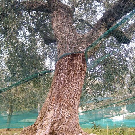 FILET POUR OLIVES ANTI EPINEUSE AVEC OEILLET AVEC OUVERTURE MT.10X10