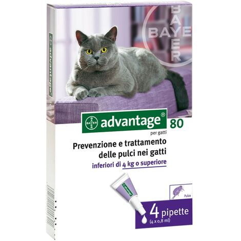 Avantage Spot sur 80 puces de prévention et tiques pour chats de 4 kg 4 pipettes