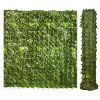 Haie de Lauro h 100 m 3 Ilcampo 00029