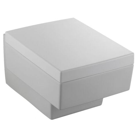 Geberit Duofix - Bâti-support pour WC suspendu avec plaque de déclenchement  Sigma30, chrome poli/chrome mat + Tece One - toilette japonaise et  abattant, Rimless, SoftClose 111.300.00.5 NT6