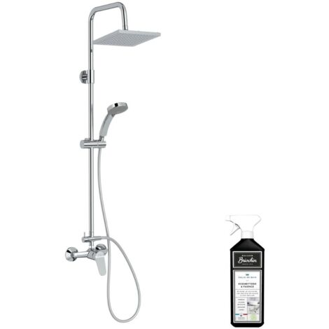 Colonne de douche JACOB DELAFON mécanique Colette + nettoyant Briochin (1/4)