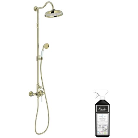 Colonne de douche JACOB DELAFON Cléo 1889 Or beige + nettoyant Briochin (1/5)