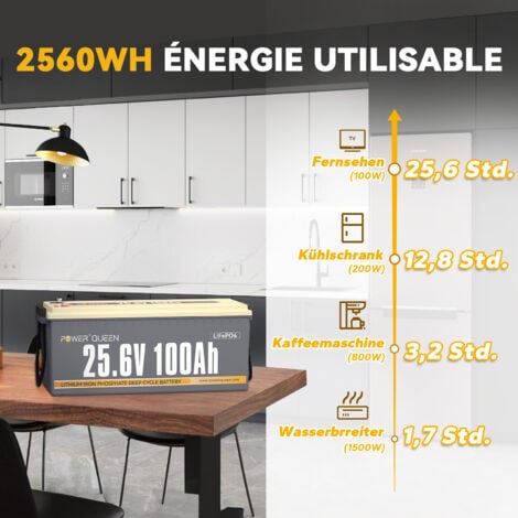 Batterie Lithium 24V100Ah 2560Wh Rechargeable LiFePO4 Power Queen, BMS 100A, 4000-15000 Cycles, pour solaire, Hors réseau, stockage de l'énergie domestique, Camping Car, Caravane, Bateau-2 Pièce
