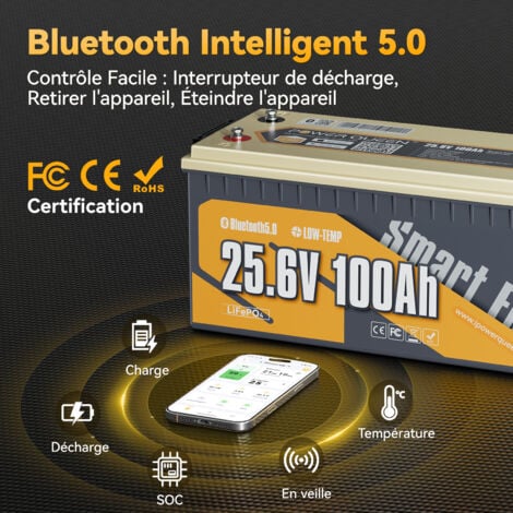 Batterie Lithium 24V100Ah 2560Wh Bluetooth LiFePO4 Power Queen, BMS 100A amélioré, protection à basse température,4000-15000 Cycles, pour solaire, Hors réseau, Camping Car, Caravane, Bateau
