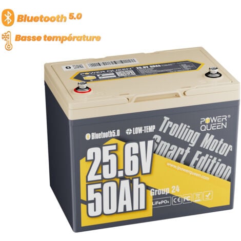 Batterie Lithium 24V50Ah 1280Wh LiFePO4 Power Queen, Bluetooth 5.0, protection à basse température, BMS 50A amélioré, pour bateau, moteur hors-bord électrique (70-100lbs), sondeur de pêche