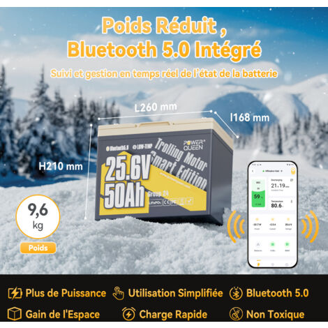 Batterie Lithium 24V50Ah 1280Wh LiFePO4 Power Queen, Bluetooth 5.0, protection à basse température, BMS 50A amélioré, pour bateau, moteur hors-bord électrique (70-100lbs), sondeur de pêche