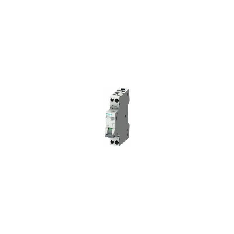 Disjoncteur 2A automatique 1P+N 4.5kA NALTO